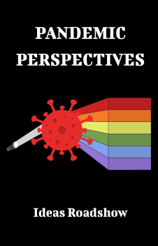 Pandemic Perspectives documentary poster.