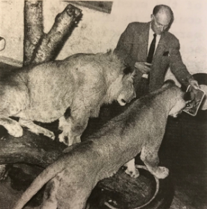 Gerald Iles shows David and Bess a Mirror. Photo by Mary Burns, found in the Society’s journal The Lynx (Vol 3, No. 2 December 1974).